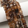 Natural Dragon Veins Agate Beads Strands G-G177-E07-05-5