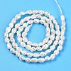 Natural Cultured Freshwater Pearl Beads Strands PEAR-N014-03H-3
