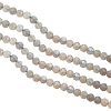 Faceted Round Natural Labradorite Bead Strands G-AR0002-72-1