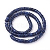 Shell Beads Strands X-SSHEL-E571-49F-3