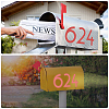 Waterproof Self Adhesive Craft Stickers DIY-GF0002-59C-04-7