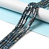 Natural Imperial Jasper Beads Strands X-G-I326-03-2