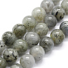 Natural Labradorite Beads Strands G-I199-15-6mm-1