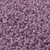MIYUKI Delica Beads Small SEED-JP0008-DBS0253-3