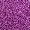 Baking Paint Glass Seed Beads SEED-S001-K21-3