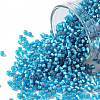 TOHO 11/0 Round Beads SEED-TR11-0023BF-1