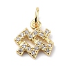 Brass Micro Pave Cubic Zirconia Charms ZIRC-F131-16G-04-1