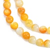 Natural Golden Yellow Shell Beads Strands SSHEL-G024-01C-3