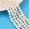 Natural Cultured Freshwater Pearl Beads Strands PEAR-P064-20C-01A-01-1