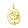 Rack Plating Brass Micro Pave Cubic Zirconia Pendants KK-Q810-01G-1