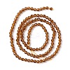 Transparent Glass Beads Strands GLAA-C019-01A-21-2
