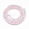 Natural Freshwater Shell Beads Strands X-SHEL-N003-25-B06-2