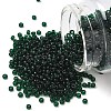 MIYUKI Round Rocailles Beads SEED-G008-RR0156-1