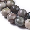 Natural Zebra Jasper Beads Strands G-E551-C-03-3