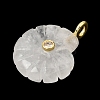 Natural Quartz Crystal Carved Pendants X-G-C282-01J-2