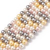 Shell Pearl Bead Strands BSHE-L017-17-3