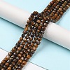 Natural Tiger Eye Beads Strands G-P500-02A-02-2
