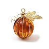 Transparent Acrylic 304 Stainless Steel Pendants PALLOY-TA00447-1