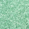 Imitation Cat Eyes Glass Seed Beads SEED-H003-03Y-2