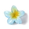 Plastic Claw Hair Clips OHAR-P020-08-2