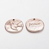 Lead Free & Nickel Free Alloy Pendants PALLOY-J684-24-FF-1