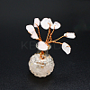 Natural Rose Quartz Chips Tree Decorations PW-WG47813-07-1