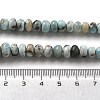 Natural Larimar Beads Strands G-Q024-E03-01-5