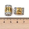 Tibetan Style Alloy Beads FIND-Z072-11AS-02-3