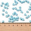 Baking Paint Glass Bead SEED-H002-K-D322-4