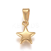 304 Stainless Steel Charms STAS-I127-067G-01-1