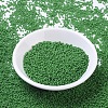 MIYUKI Round Rocailles Beads SEED-X0054-RR0411-2