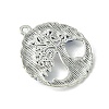 Alloy Pendants PALLOY-JF02405-01-4