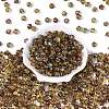 Picasso Transparent Glass Beads SEED-Q039-04B-2