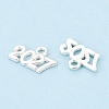 New Year's Day Alloy Charms FIND-N014-01S-2