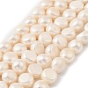 Natural Cultured Freshwater Pearl Beads Strands PEAR-P064-19L-02B-2