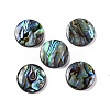 Natural Paua Shell Epoxy Resin Cabochons SSHEL-S279-01A-1