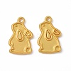 Rack Plating Alloy Pendants PALLOY-I215-11G-2