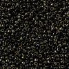 MIYUKI Round Rocailles Beads SEED-G009-RR4511-3