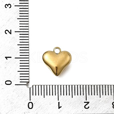 304 Stainless Steel Charms STAS-Z163-03G-1