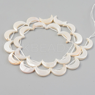 Electroplate Natural Freshwater Shell Beads Strands X-SHEL-T017-16D-1