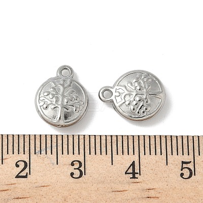 304 Stainless Steel Charms STAS-F320-02B-P-1