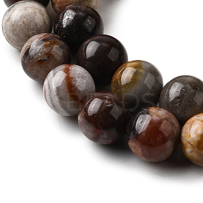 Natural Mexico Crazy Agate Beads Strands X-G-L615-A01-02-1