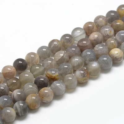 Natural Black Sunstone Beads Strands G-R446-6mm-33-1