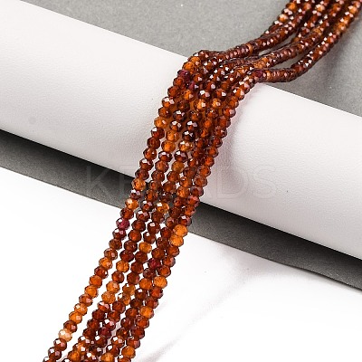 Natural Garnet Beads Strands G-F770-D03-02-1