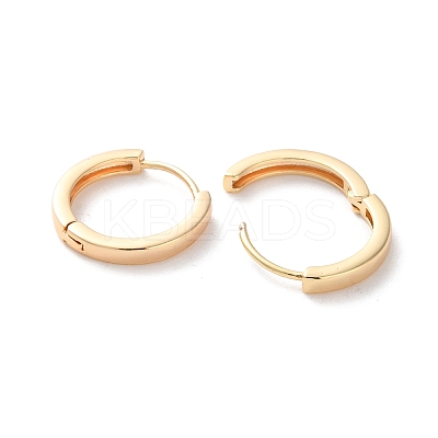 Rack Plating Brass Hoop Earrings EJEW-S241-13G-1