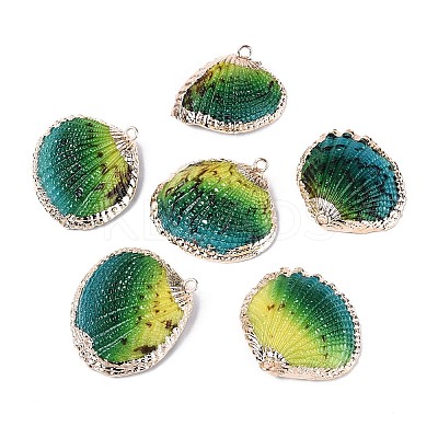 Spray Paint & Electroplate Natural Sea Shell Pendants SSHEL-N042-16B-1