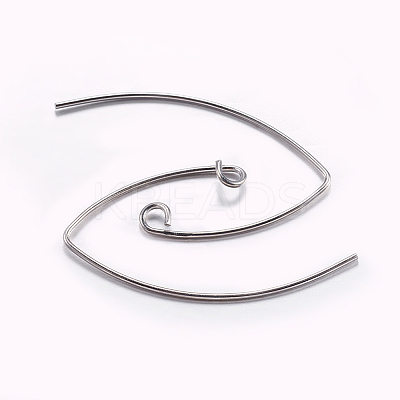 Brass Earring Hooks LS-KK-K197-60P-1