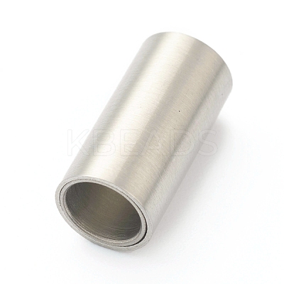 Tarnish Resistant 304 Stainless Steel Magnetic Clasps with Glue-in Ends STAS-B017-01B-P-1