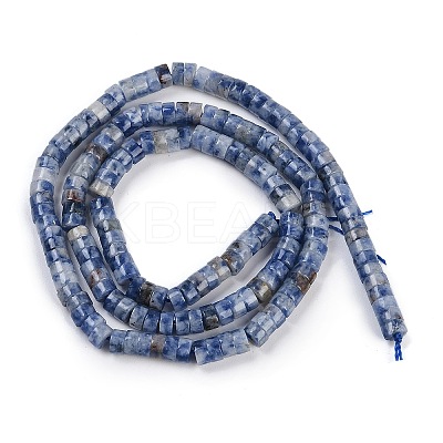 Natural Blue Spot Jasper Beads Strands G-H230-56-1