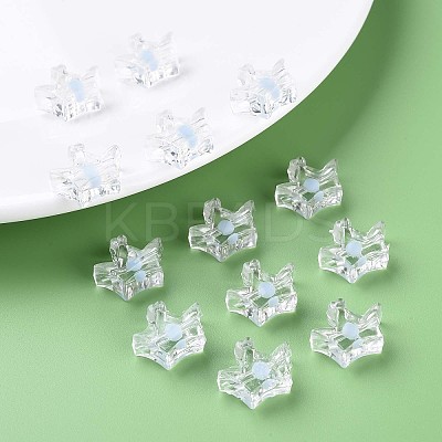 Transparent Acrylic Beads LS-MACR-S373-105-B08-1